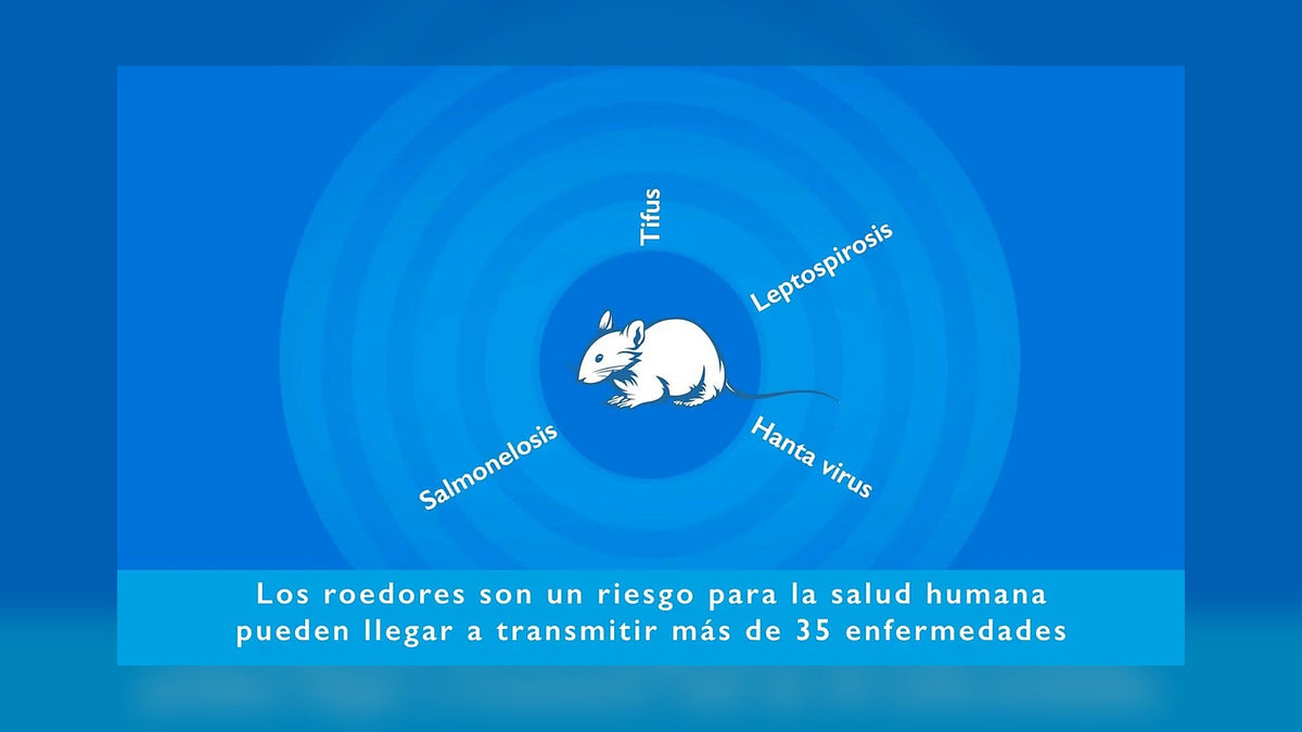 VIDEO RODENTICIDAS KLERAT PELLETS Y BLOQUES