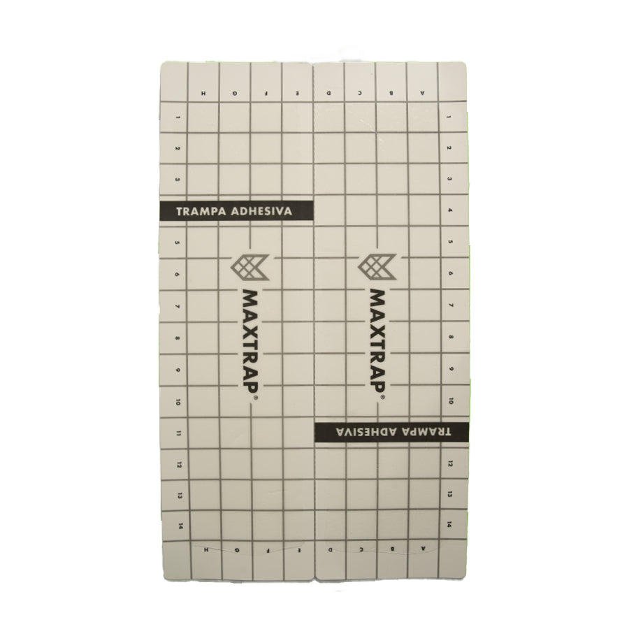Maxtrap® M-41 UNIVERSAL Lámina de cartón