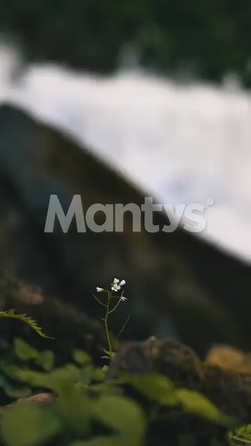Pequeñas acciones, grandes cambios